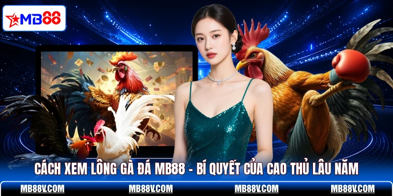 Cách Xem Lông Gà Đá
