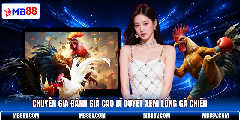 Chuyên gia đánh giá cao bí quyết xem lông gà chiến