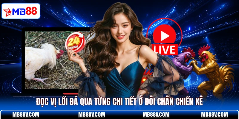 Đọc vị lối đá qua từng chi tiết ở đôi chân chiến kê