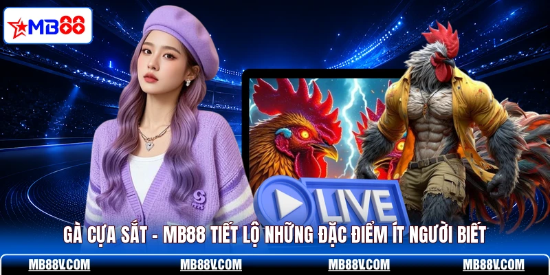 Gà Cựa Sắt