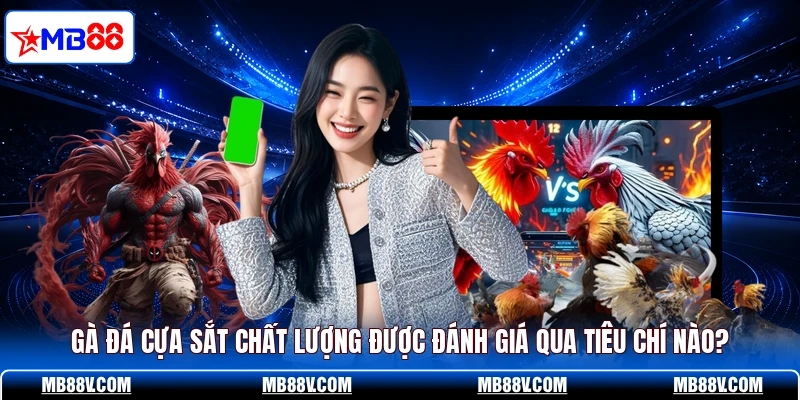Gà đá cựa sắt chất lượng được đánh giá qua tiêu chí nào?