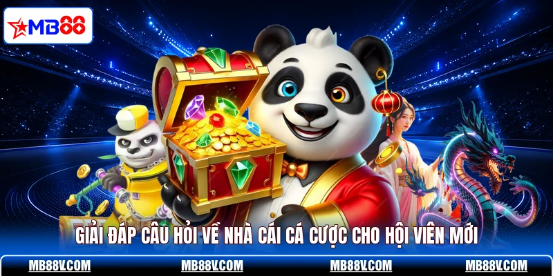 Giải đáp câu hỏi về nhà cái cá cược cho hội viên mới