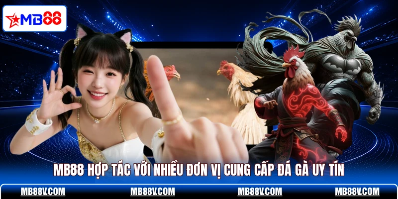 MB88 hợp tác với nhiều đơn vị cung cấp đá gà uy tín