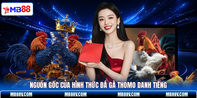 Nguồn gốc của hình thức đá gà Thomo danh tiếng