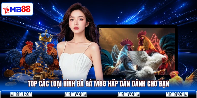 Top các loại hình đá gà M88 hấp dẫn dành cho bạn