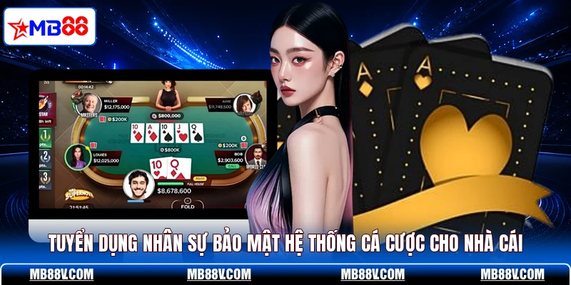 Tuyển dụng nhân sự bảo mật hệ thống cá cược cho nhà cái